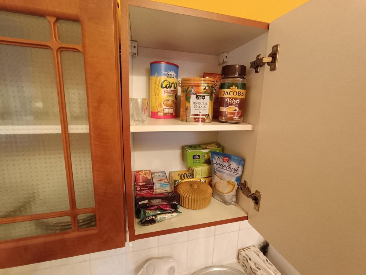 Apartman Horni Slavkov Hodinarstvi المظهر الخارجي الصورة